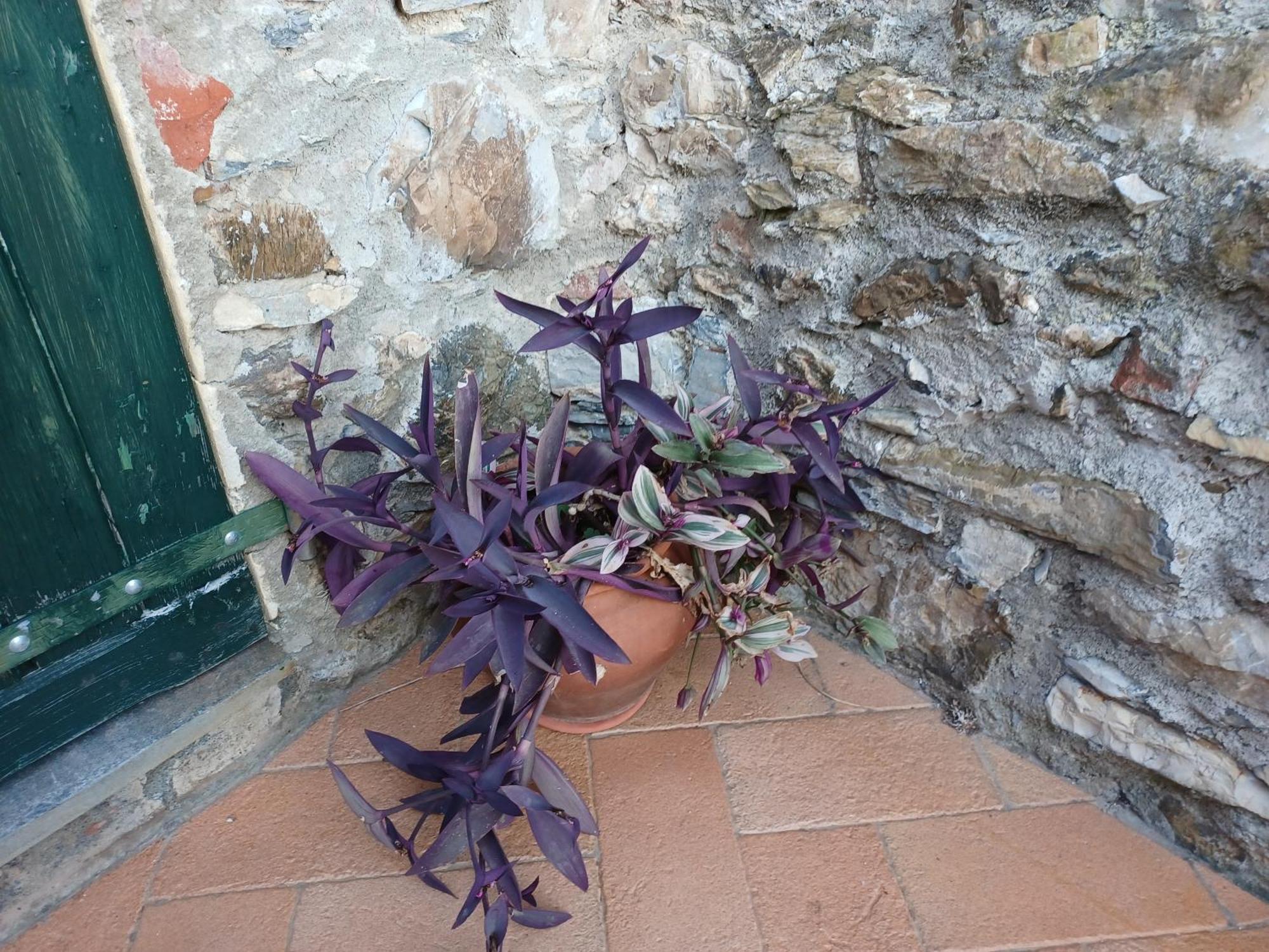 Il Fontolo Villa Ponzano Superiore Exterior photo